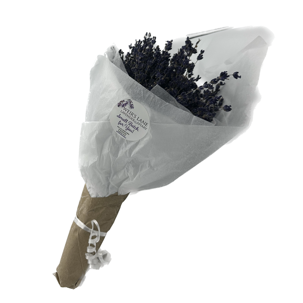 Dried Lavender Stems (Flowers)