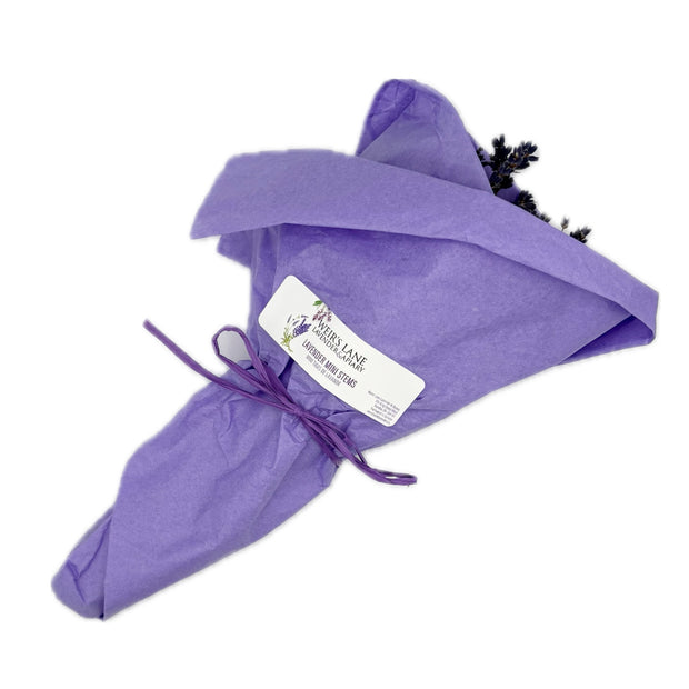 Dried Lavender Stems (Flowers)