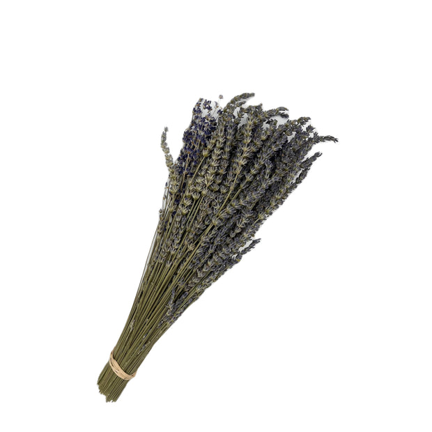 Dried Lavender Stems (Flowers)