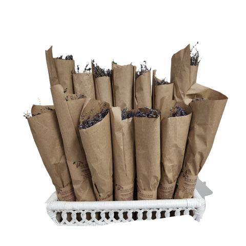 Tiges de lavande séchées (fleurs)