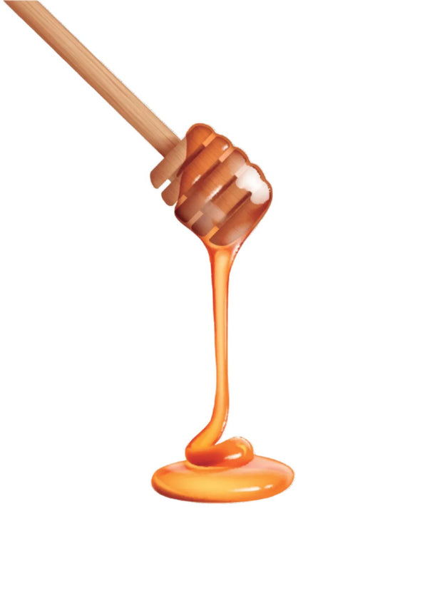 Wood Honey Dipper