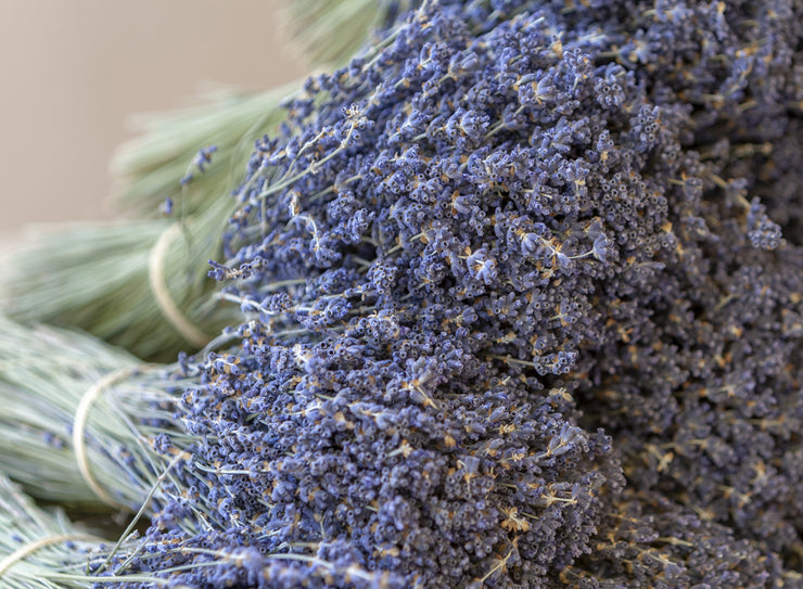 Dried Lavender Stems (Flowers)