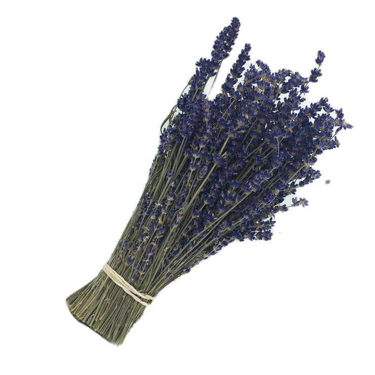 Dried Lavender Stems (Flowers)