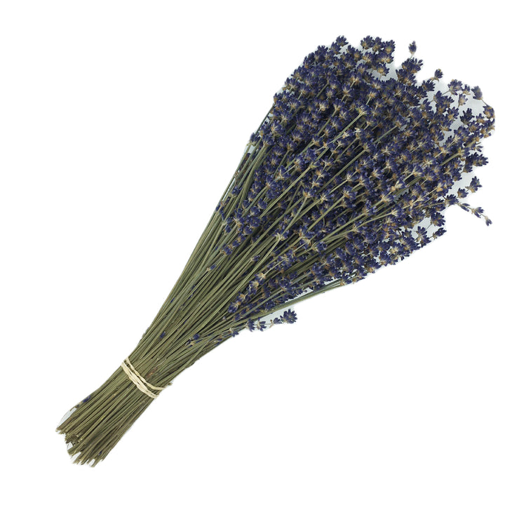 Dried Lavender Stems (Flowers)