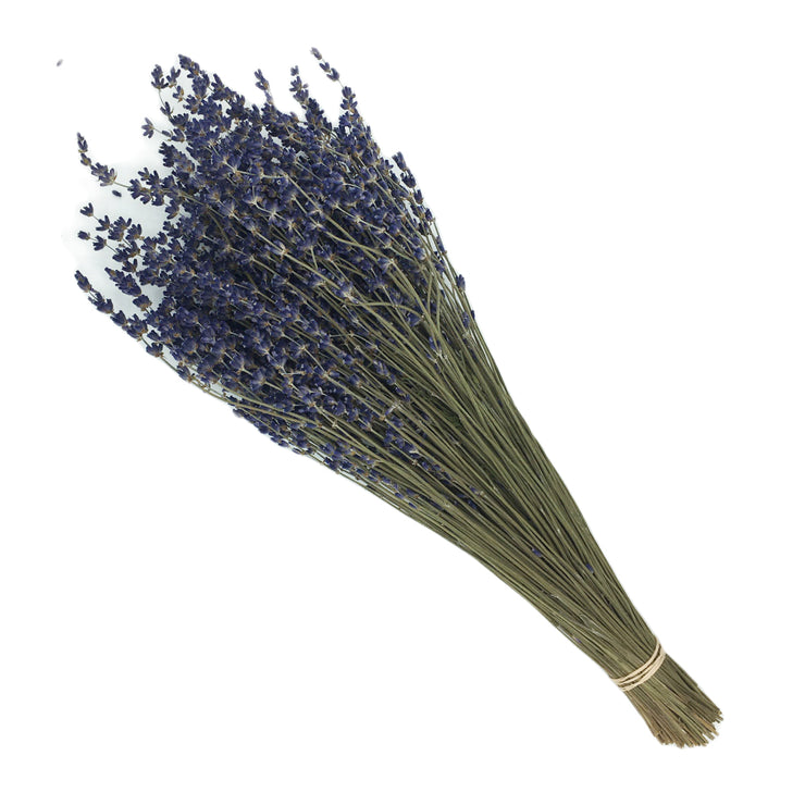 Dried Lavender Stems (Flowers)