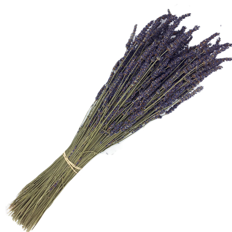 Dried Lavender Stems (Flowers)