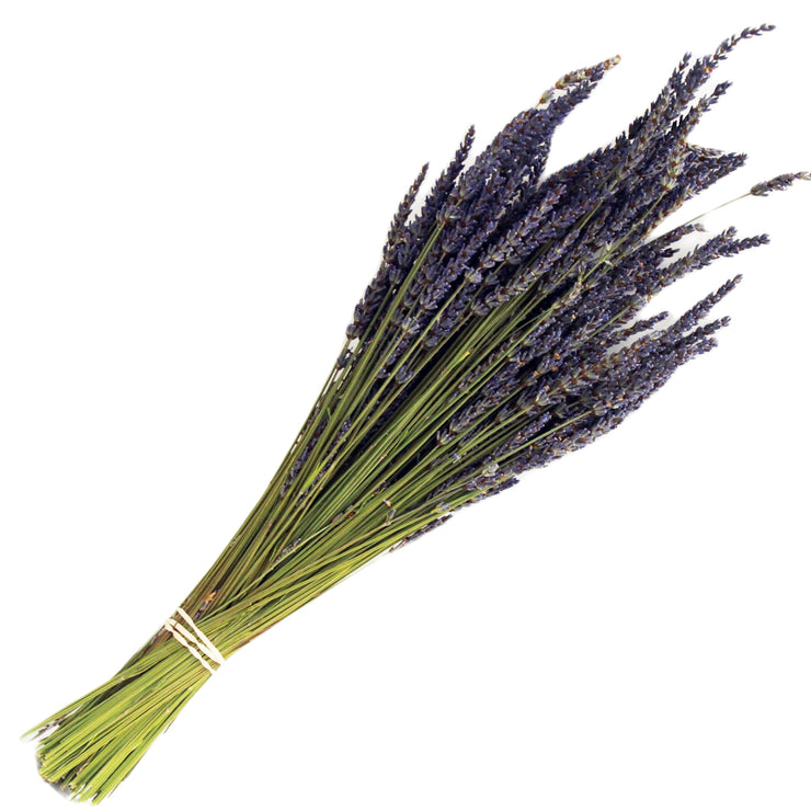 Dried Lavender Stems (Flowers)