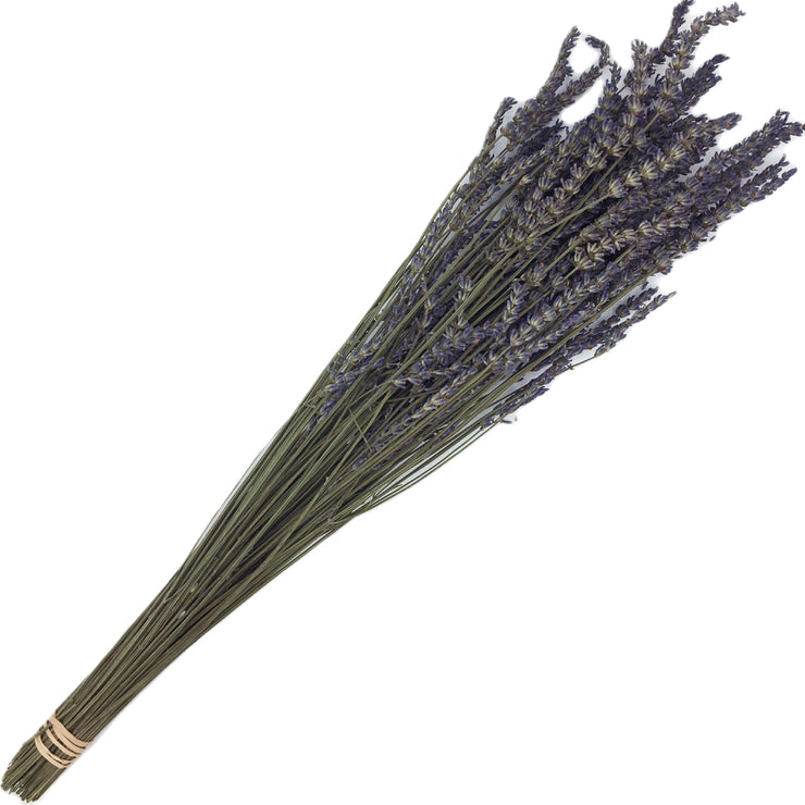 Dried Phenomenal french lavender bundles for sale