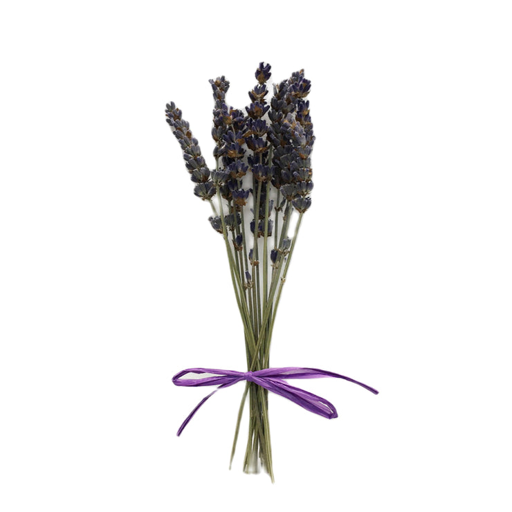 Dried Lavender Stems (Flowers)